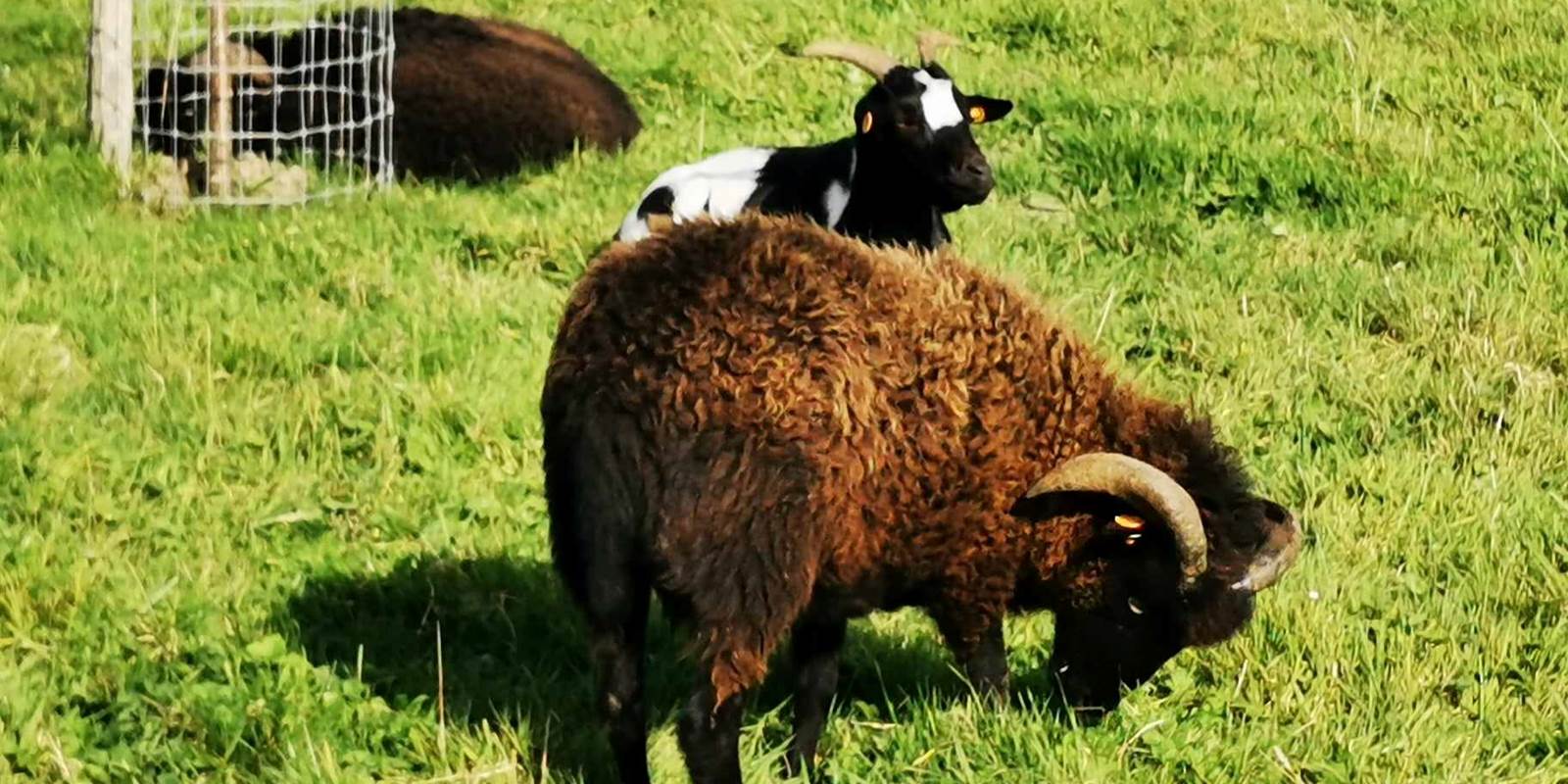 387555158_578623027689175_5466190073459452851_n