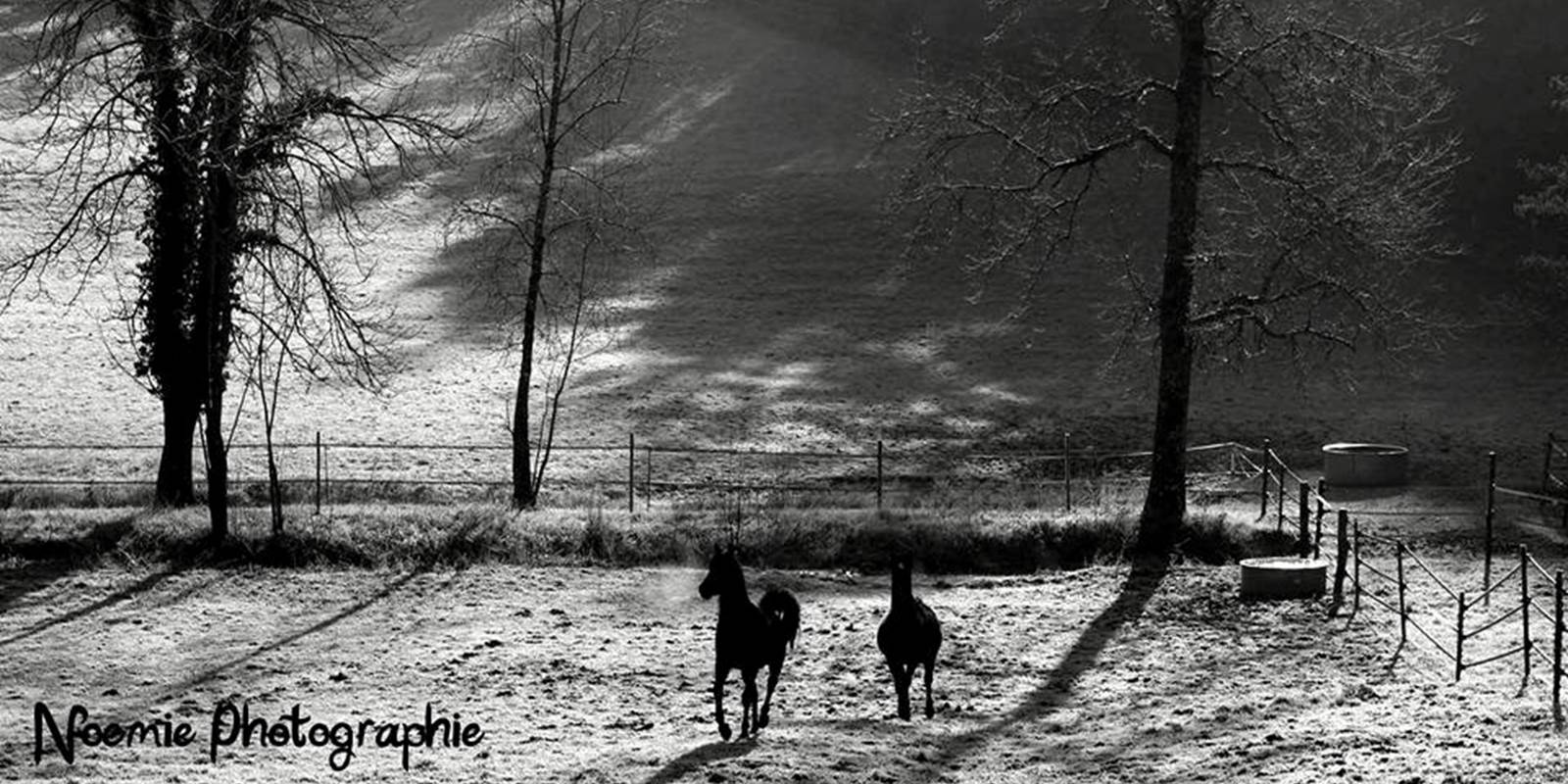 Vue de la fenêtre Sud Est de la chambre Kirin