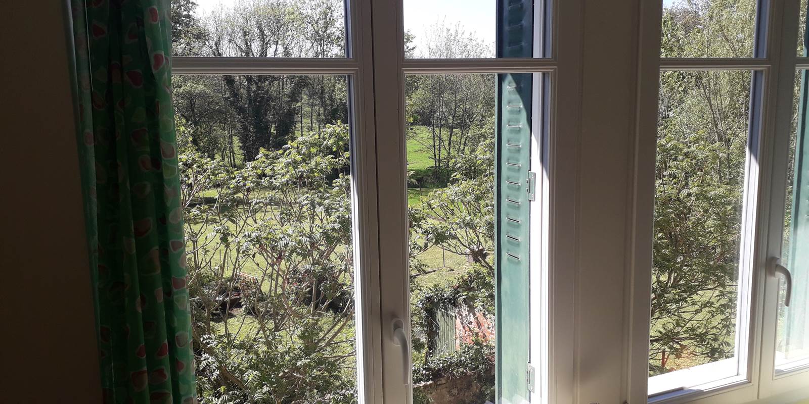 Suite glycines salon vue sur le jardin