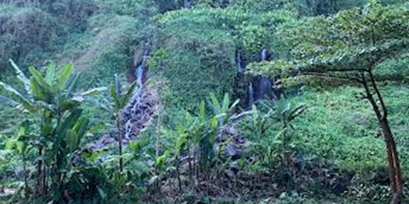 Anse des Cascades