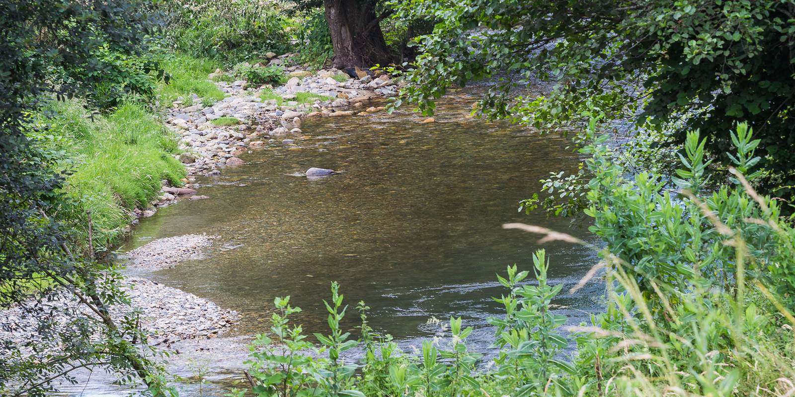 Maison joangi rivière