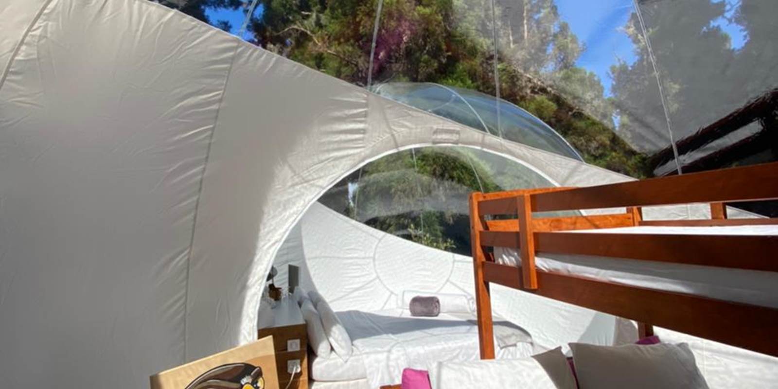 WhatsApp Image 2021-05-31 at 13