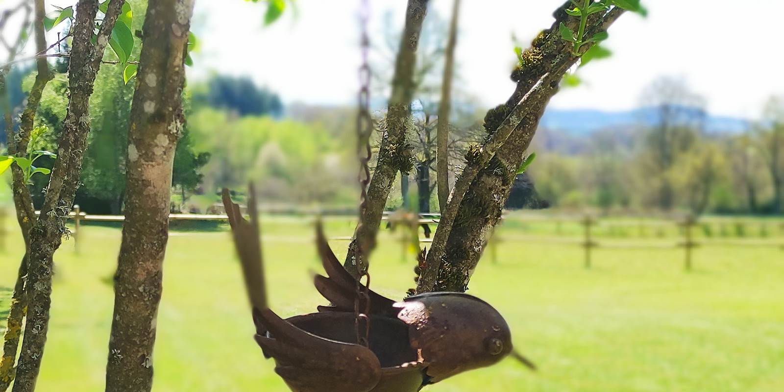 chambreshotes-jardin-oiseaux-sérénité-hautecorrèze