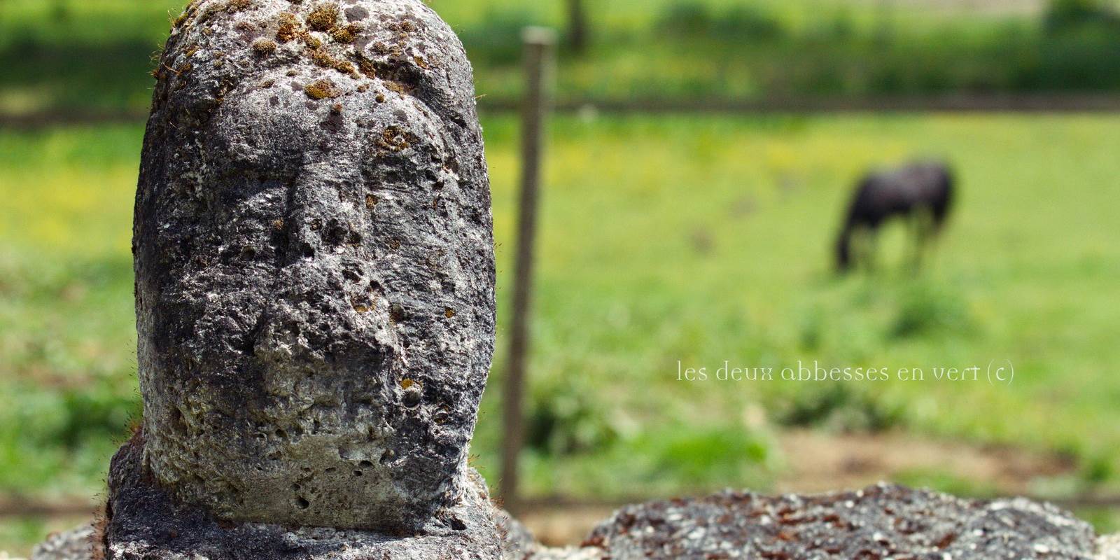 Façade Sud Ouest Fenêtre Chambre Epona