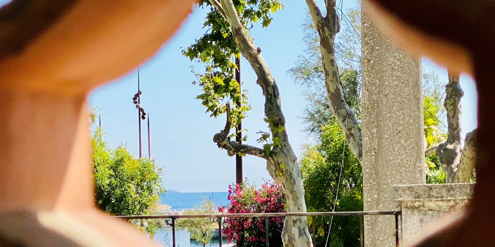 Vue depuis la terrasse couverte