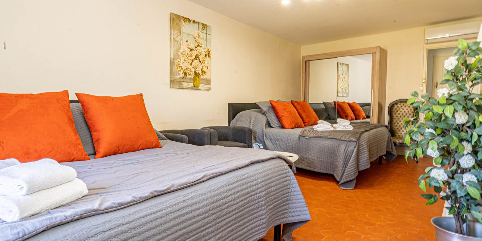 CAMELIA 2 2022 04-min