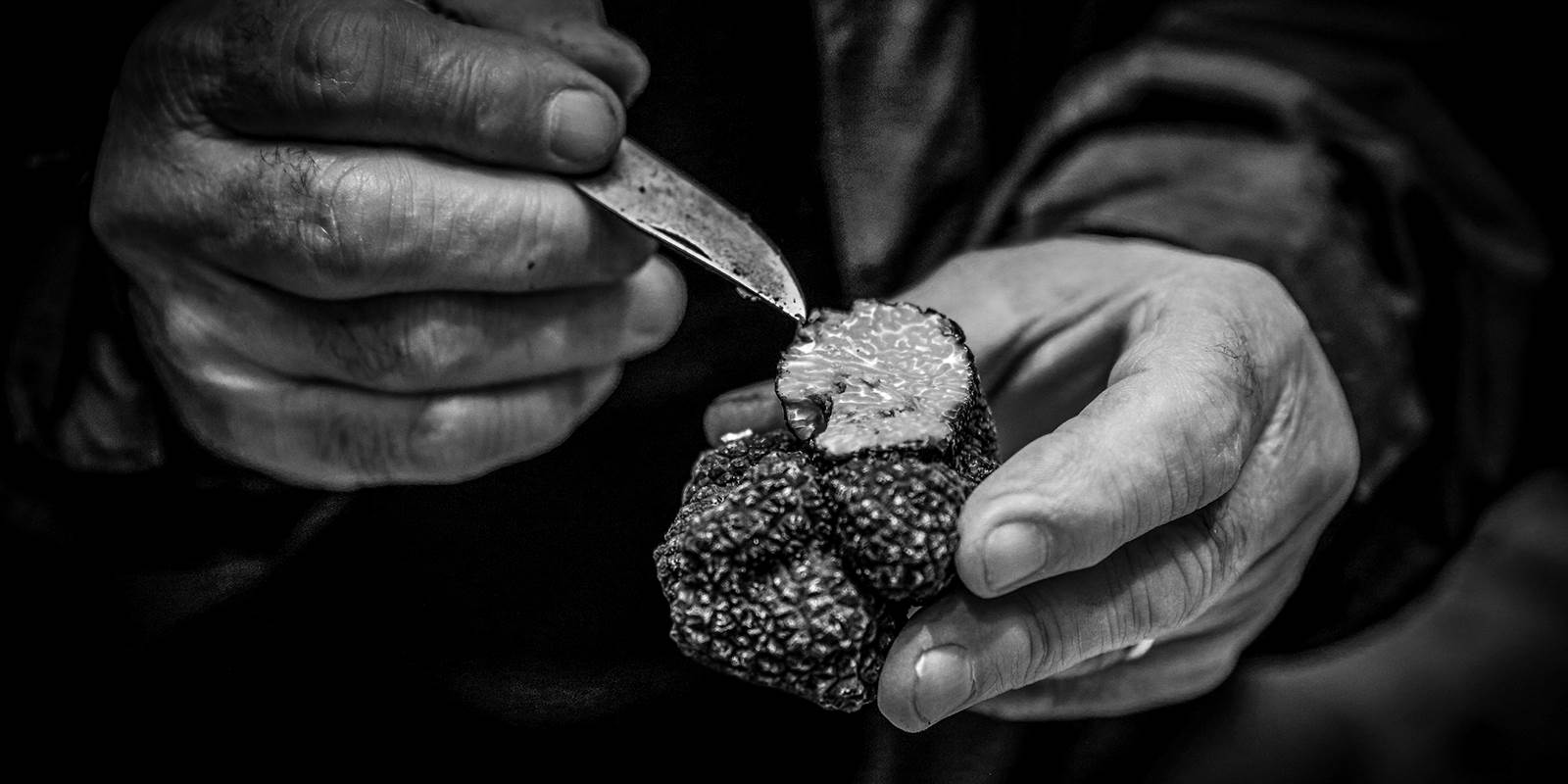 Le diamant du Périgord Noir -  La truffe noire - Tuber Melanosporum - Château de Puy Robert Lascaux