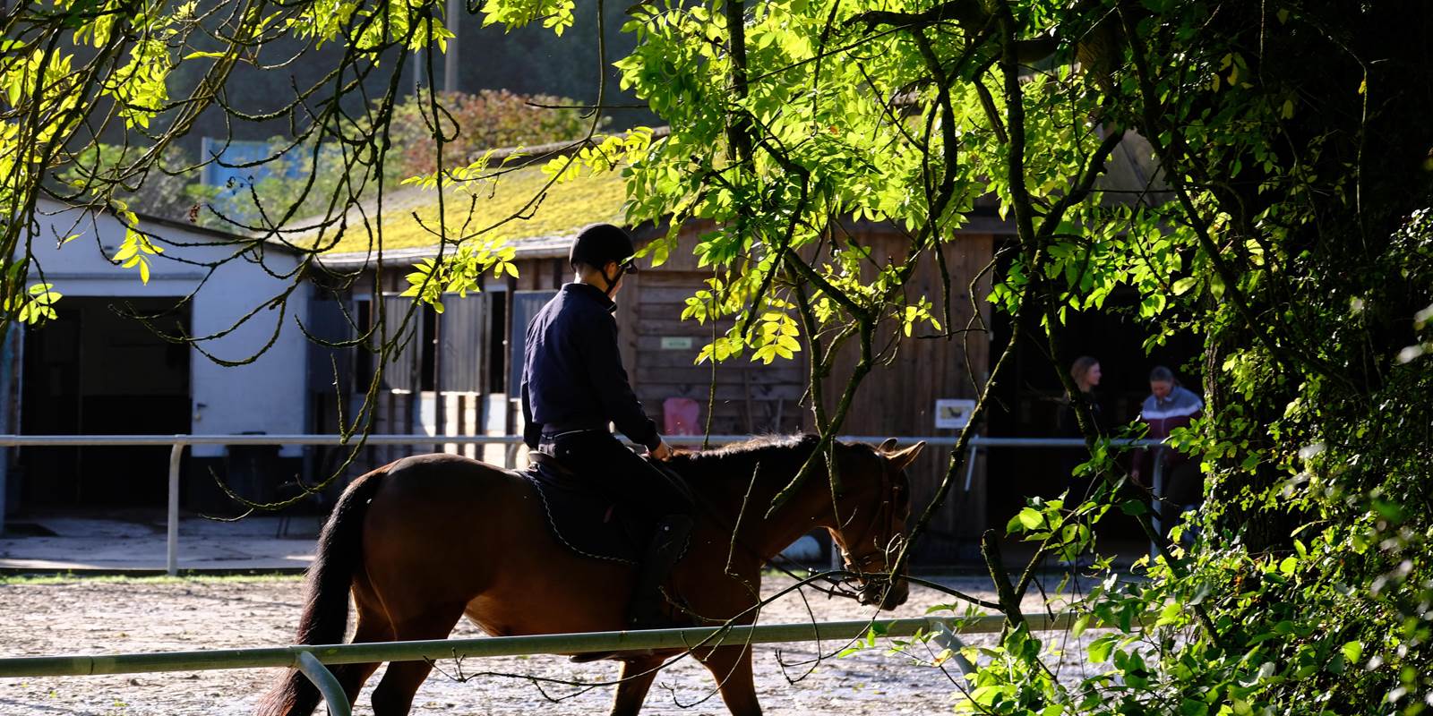 Centre Hippique sortie du village (Copy)