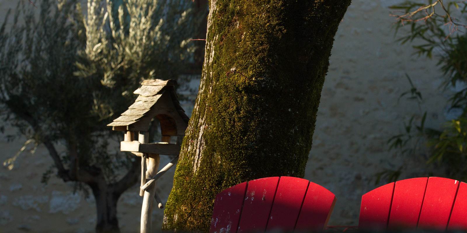 Coin Lecture sous le tilleul