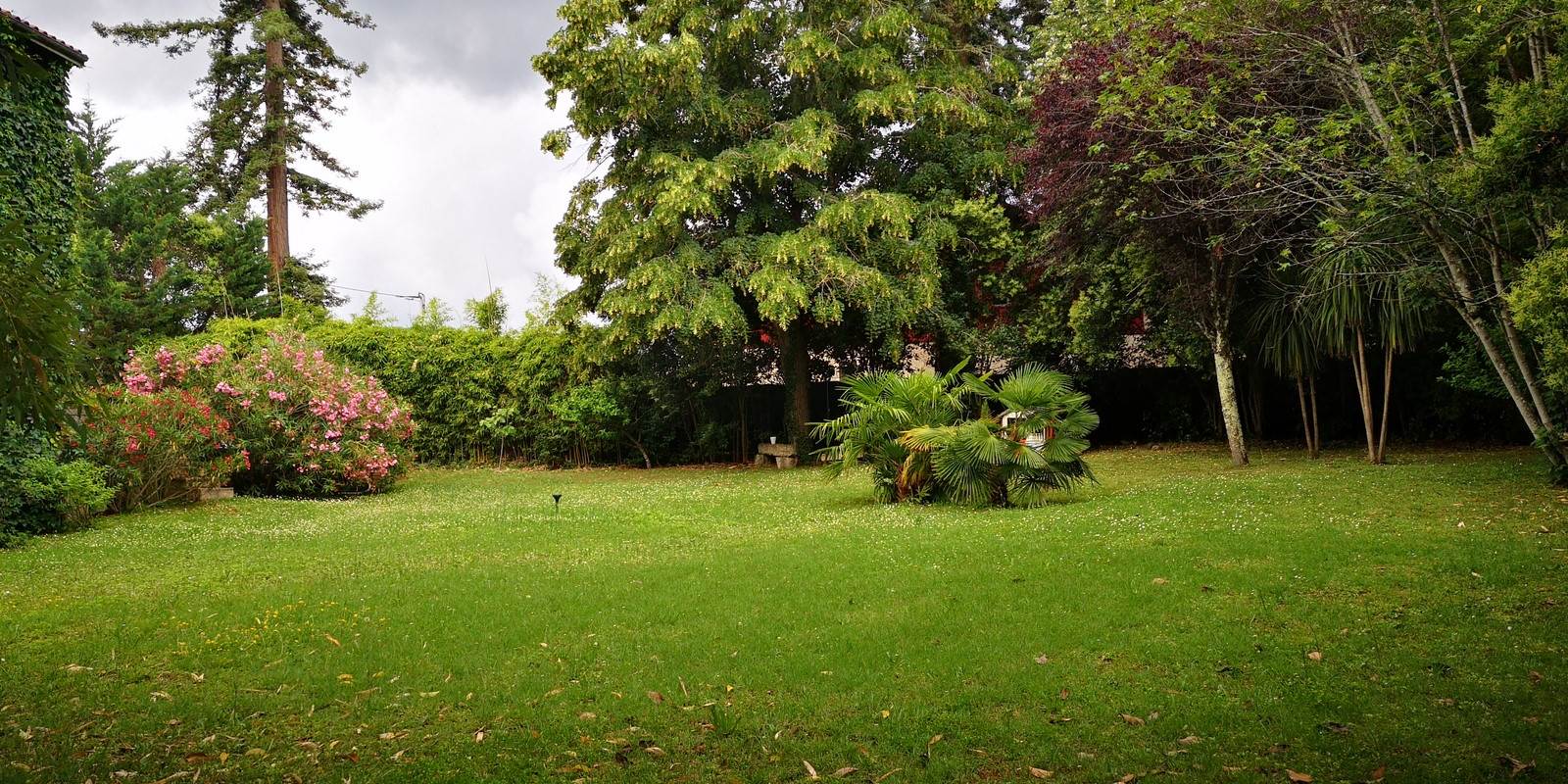 IMG_20230613_170055 (Copier)