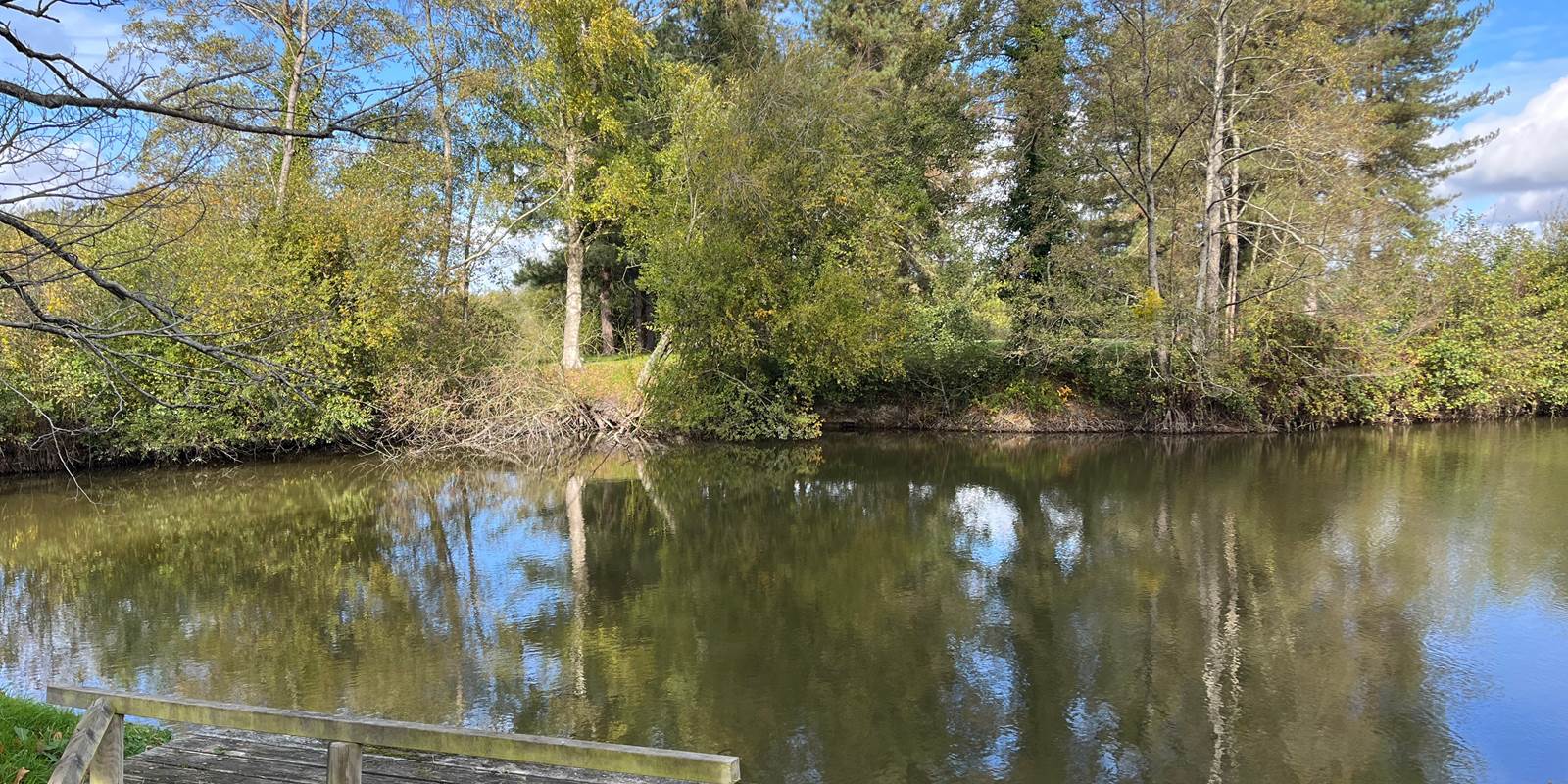 vue sur etangs poissonneux