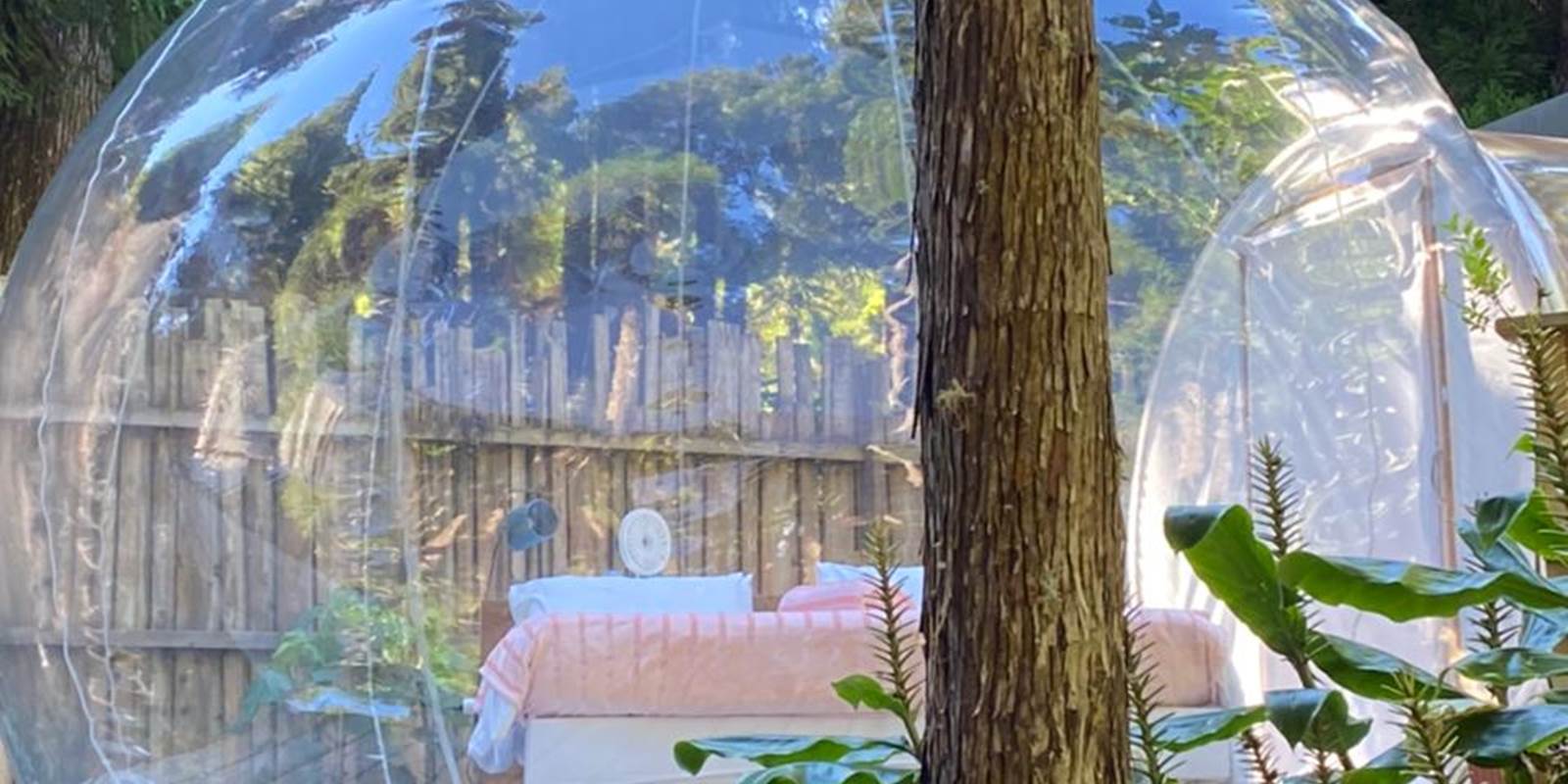 WhatsApp Image 2021-05-31 at 13