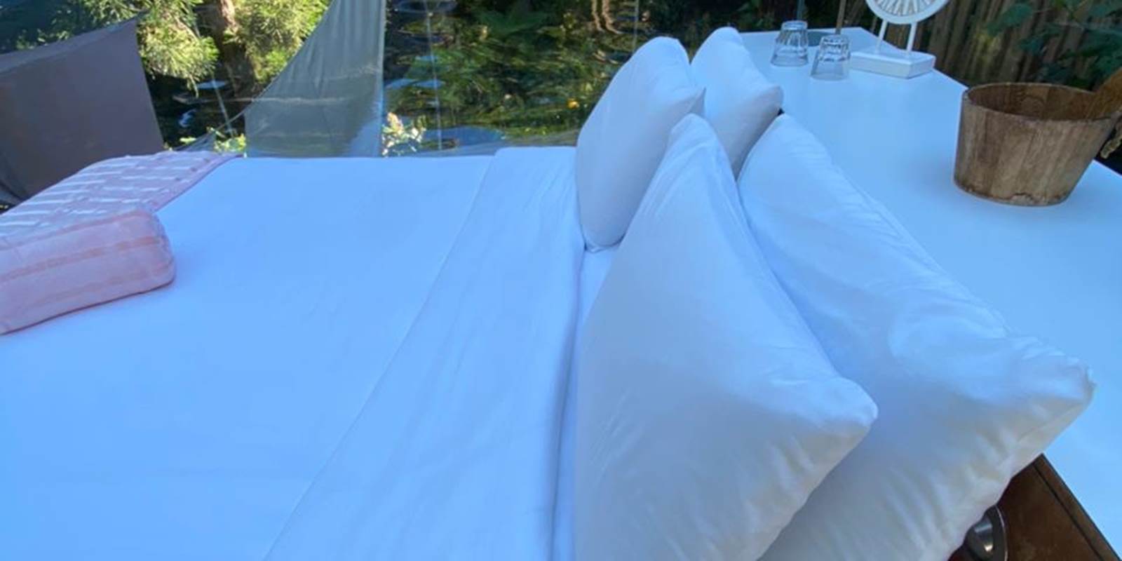 WhatsApp Image 2021-05-31 at 13