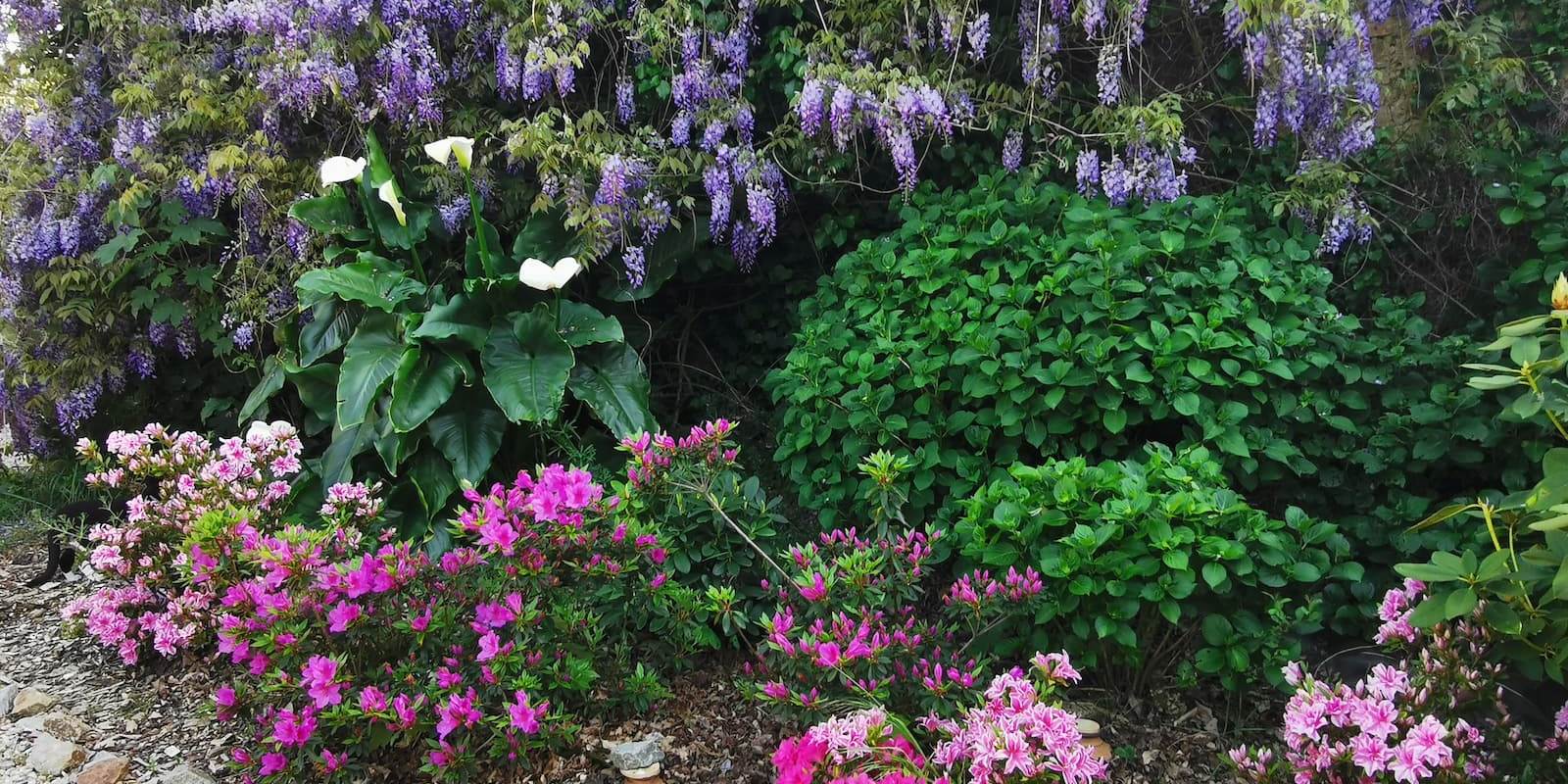massif jardin chambre d'hôtes la blanche hermine maison d'hôtes bien être spa morbihan bretagne séjour détente repos ressourcement anti stress burn out cure ayurvédique retraite relaxation méditation