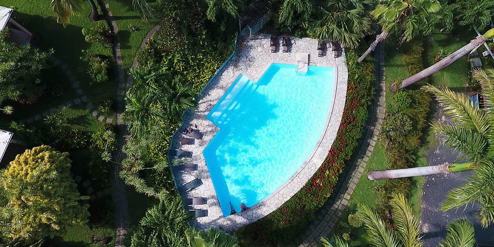 piscine vue du drone