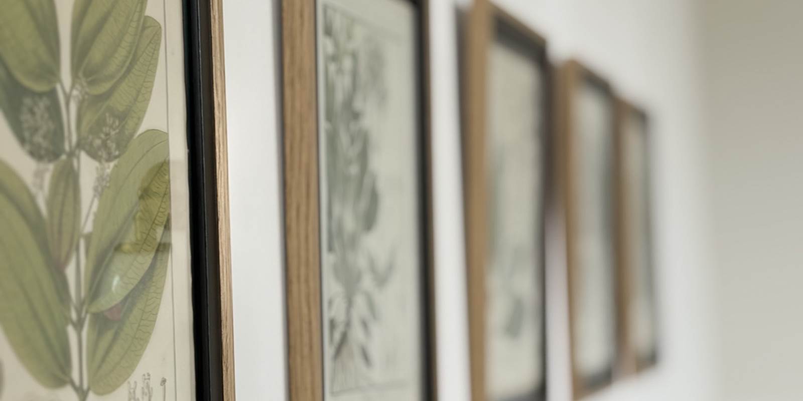 maison-jazey-gravures-botaniques-mur