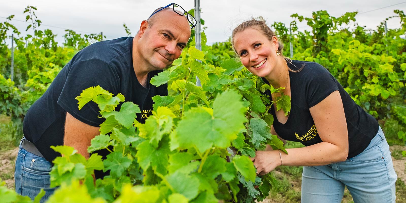 Domaine viticole Aube Amandine et Nicolas Collot