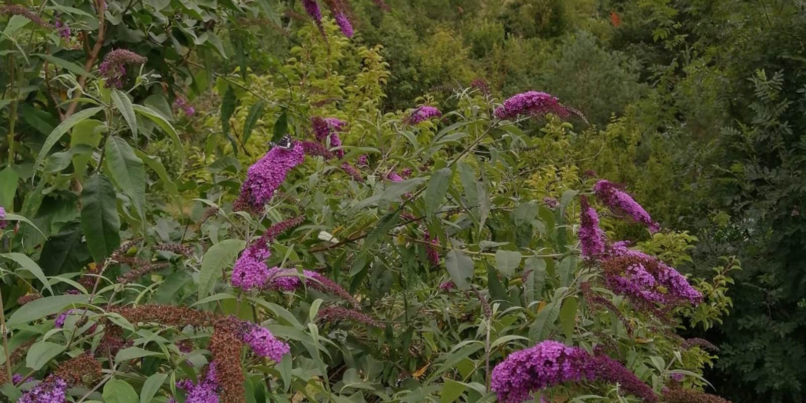 PHOTO-2024-05-16-14-09-22 5