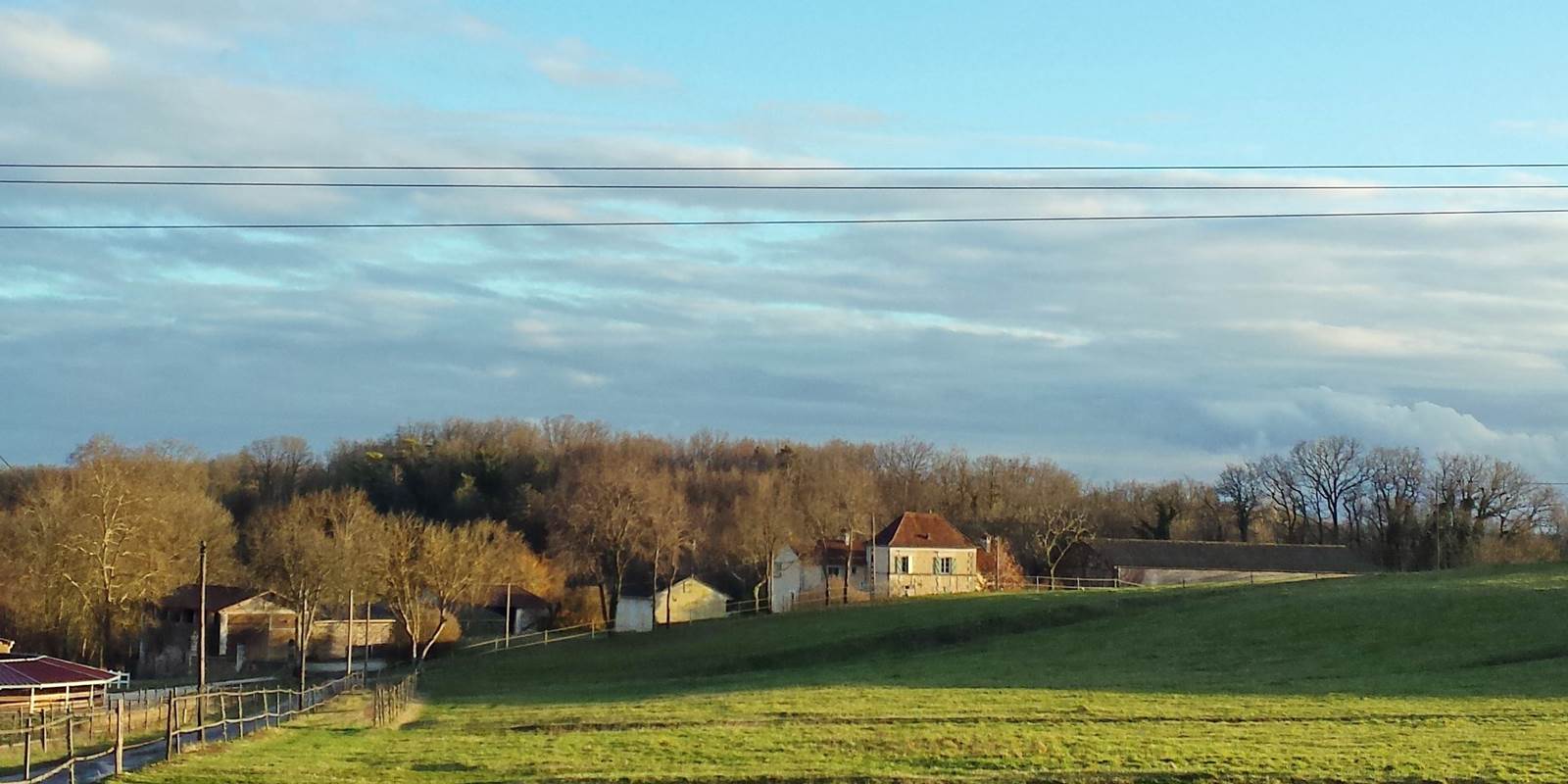 Haras Laurence Of Arabians