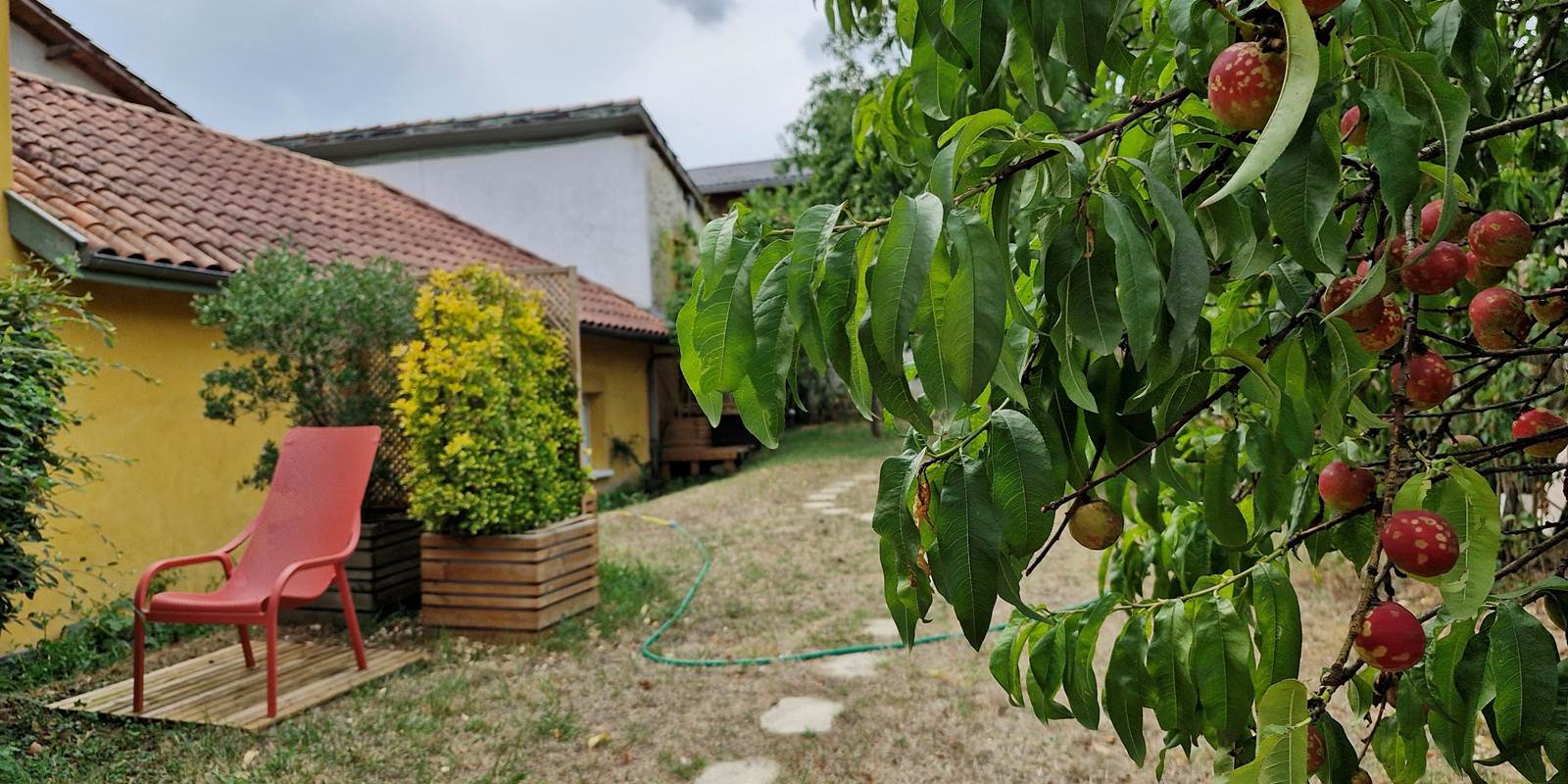 jardin
