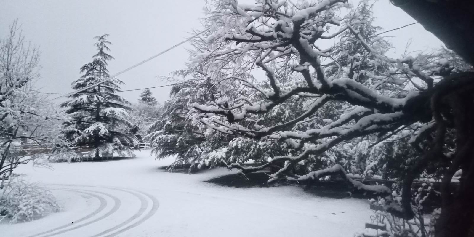 le parc sous la neige