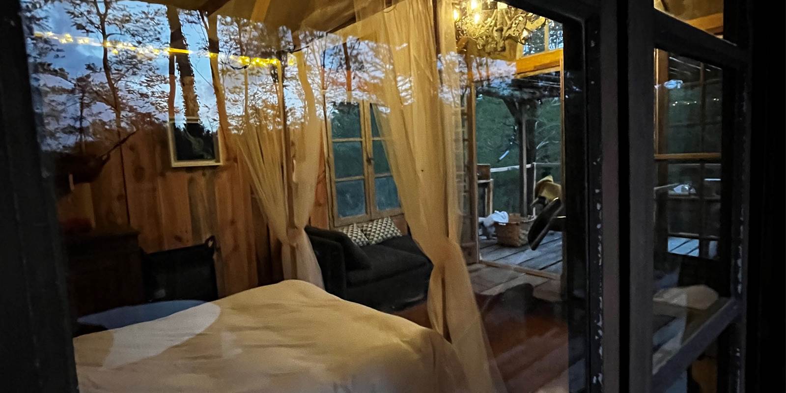 CABANE_FORET_ARBRE_BEARN_BASQUE_64 (5)