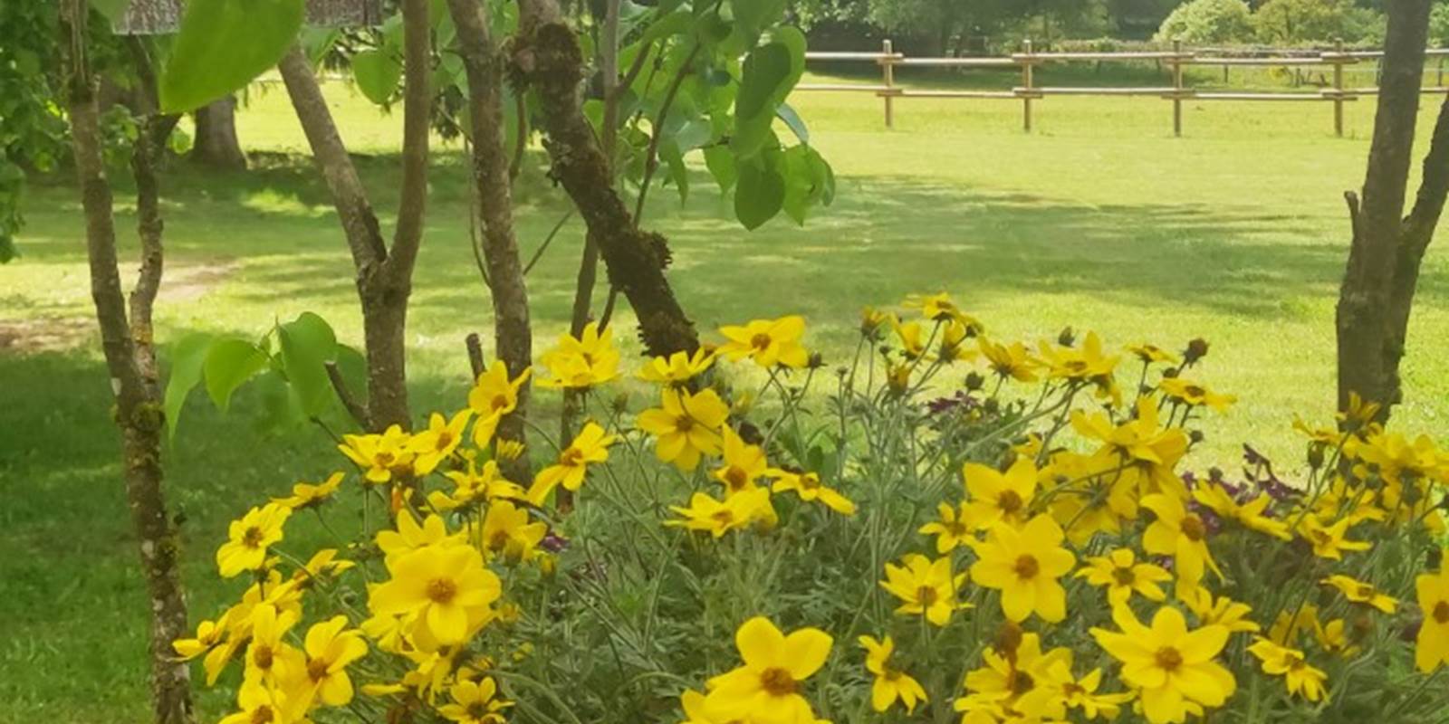 chambreshotes-fleurissement-été-hautecorrèze