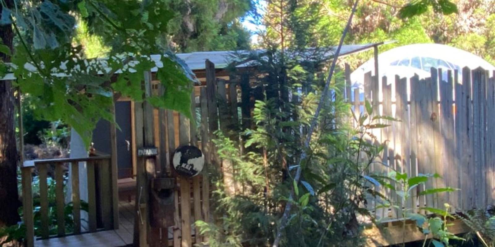 WhatsApp Image 2021-05-31 at 13