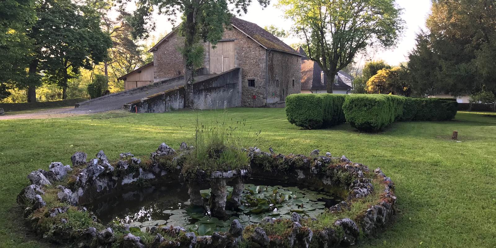 Le bassin aux nénuphars