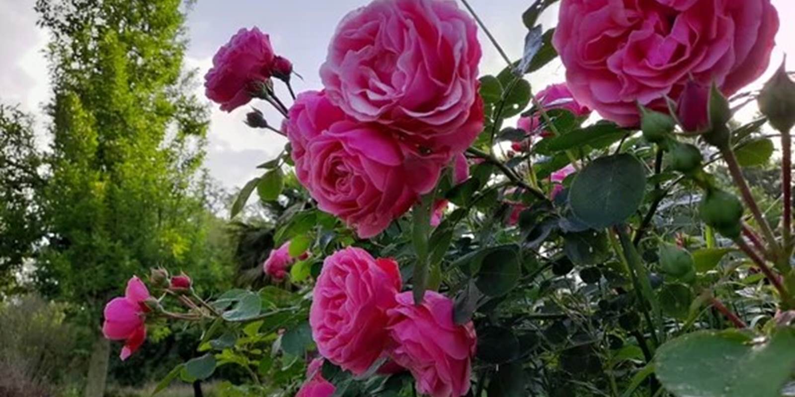 20240527_083104-high