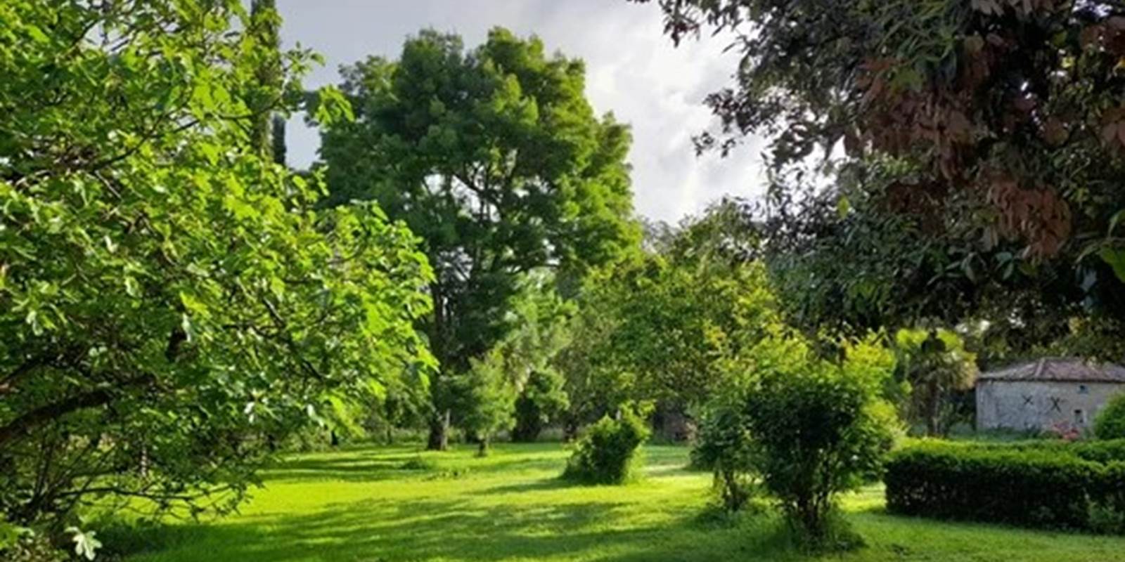 20240527_083434-high