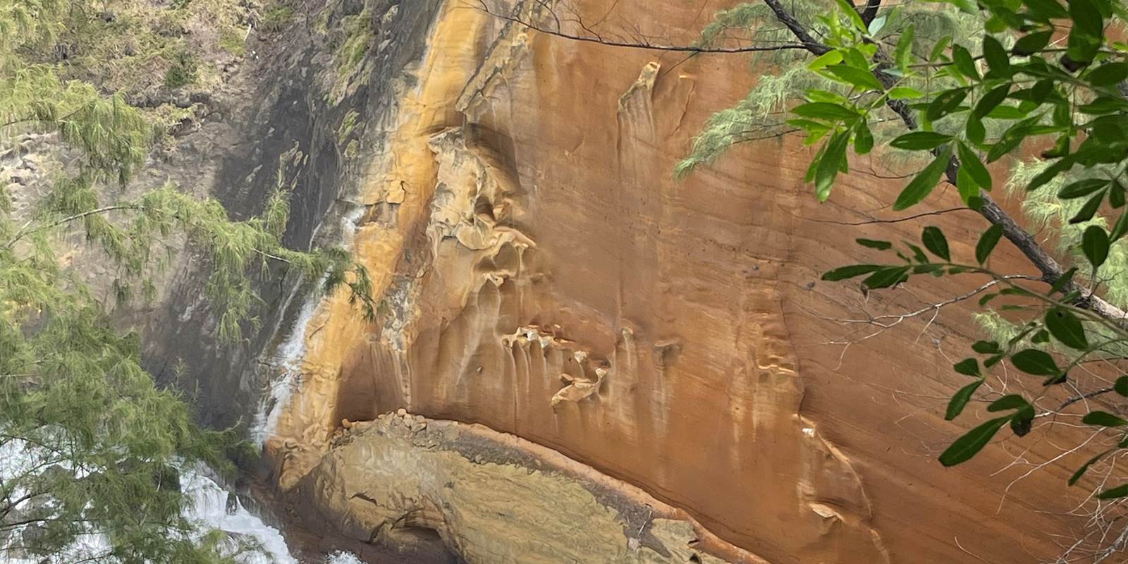 chambre-proche-sentier-cap-jaune