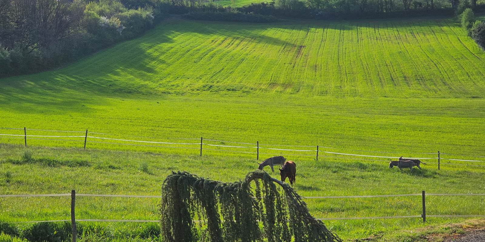 Village de Gîtes = calme, services, piscine