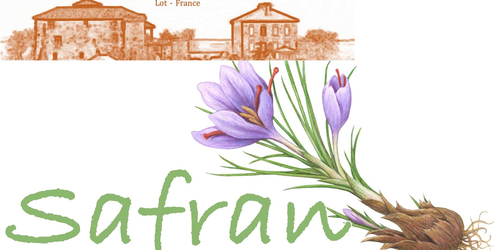 Panneaux porte20x15SAFRAN