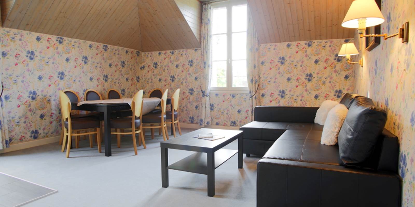 Gîte Privilège séjour salon 40 41 42