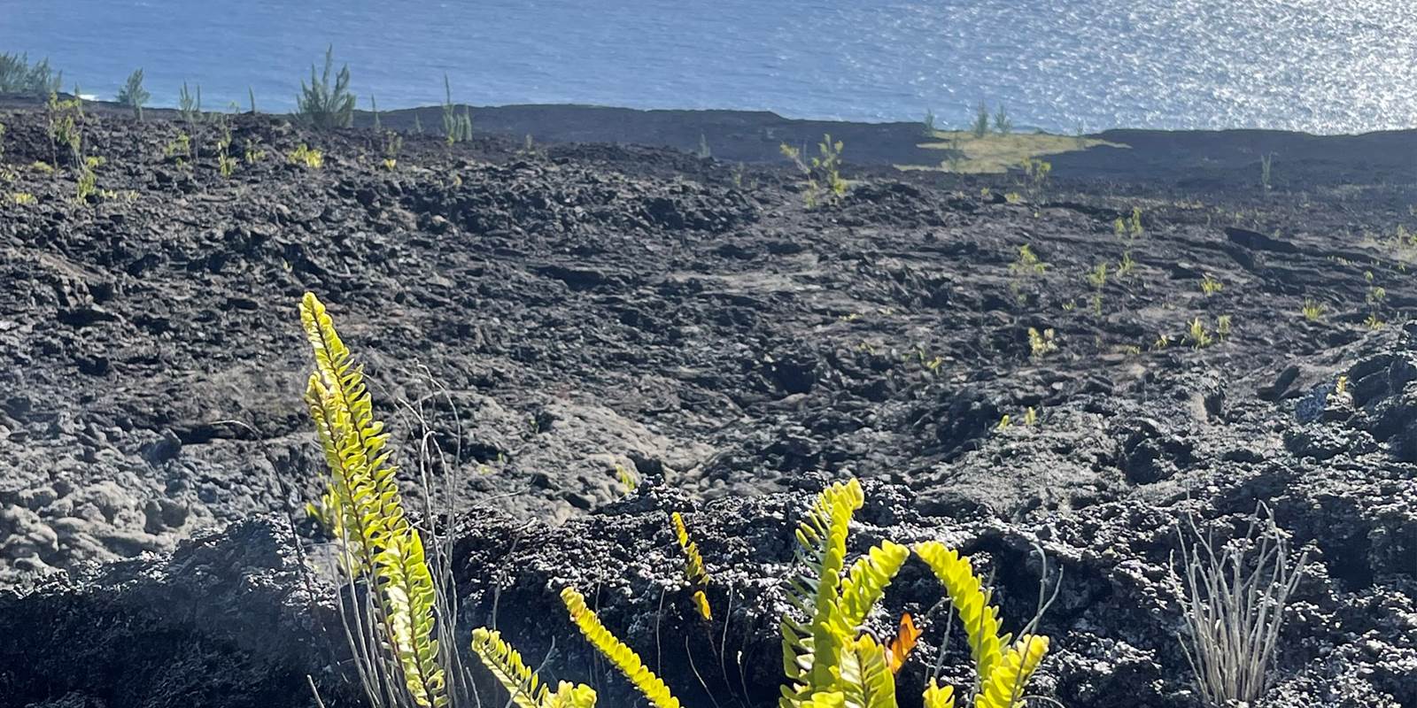 chambre-proche-coulée-de-lave