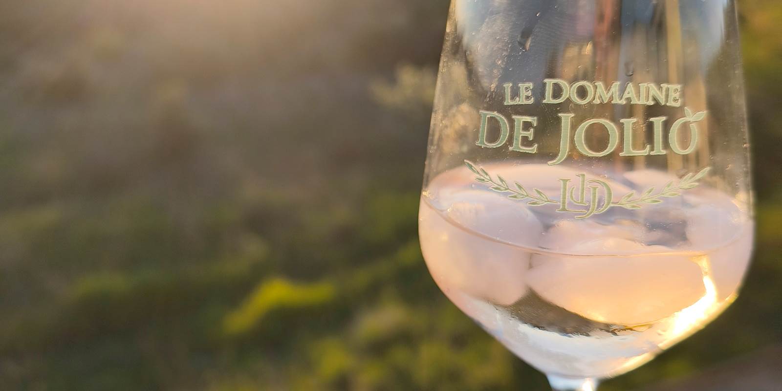 Coucher de soleil - Domaine de Jolio