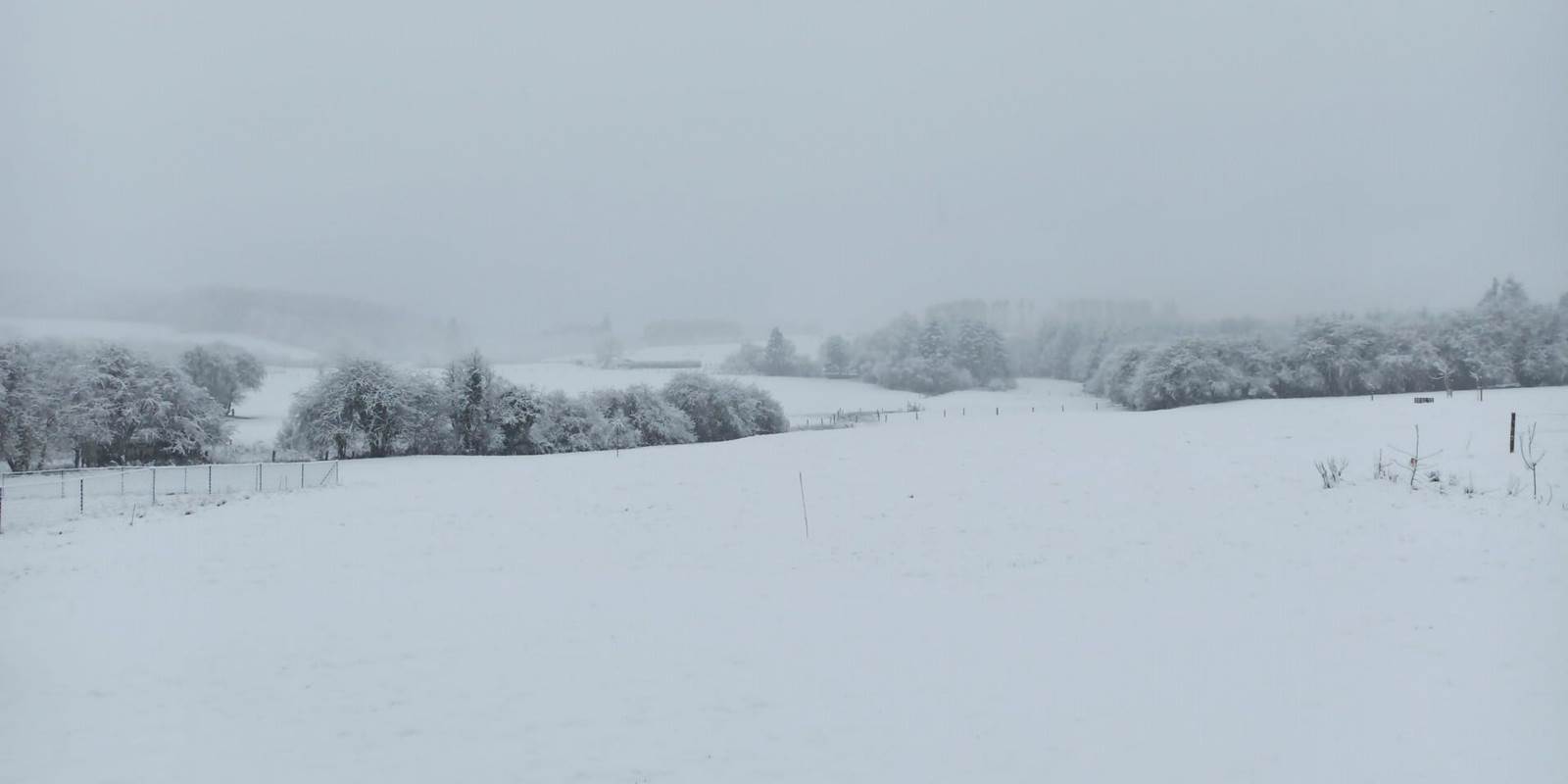 L'Oasis sous la neige