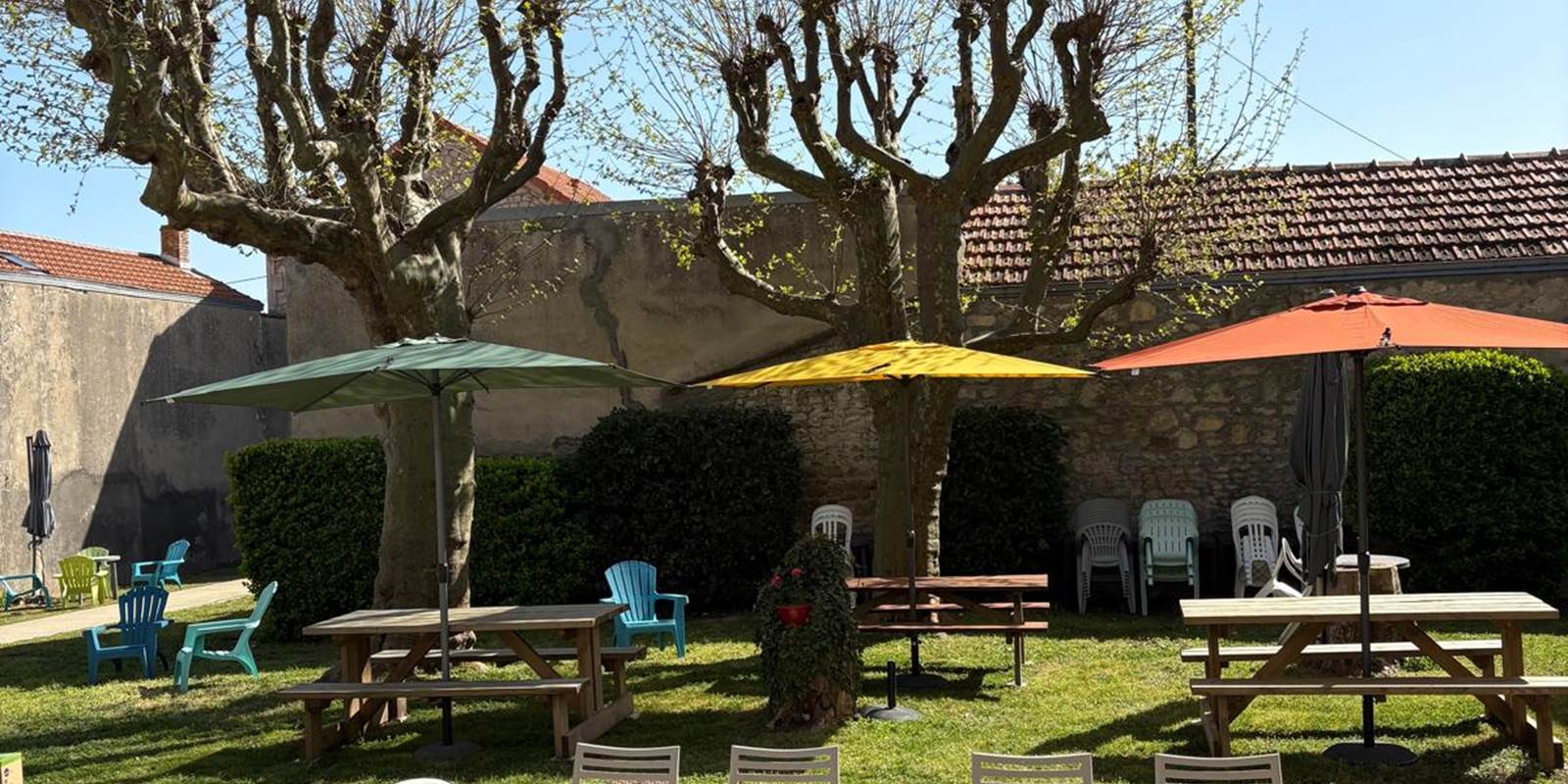 Jardin arrière 2025