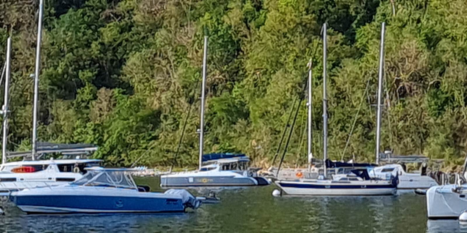 Kaona à la bouée au port de Deshaies 2