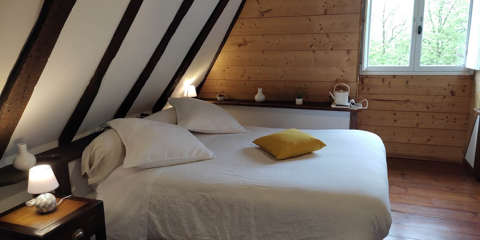 IMG_20230423_134041_a