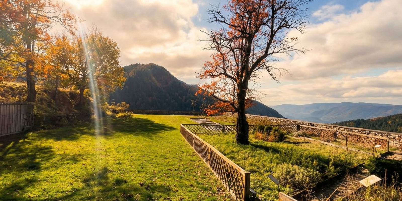 ameliore_cette_photos_rends_l__Nano_Banana_Pro_63280