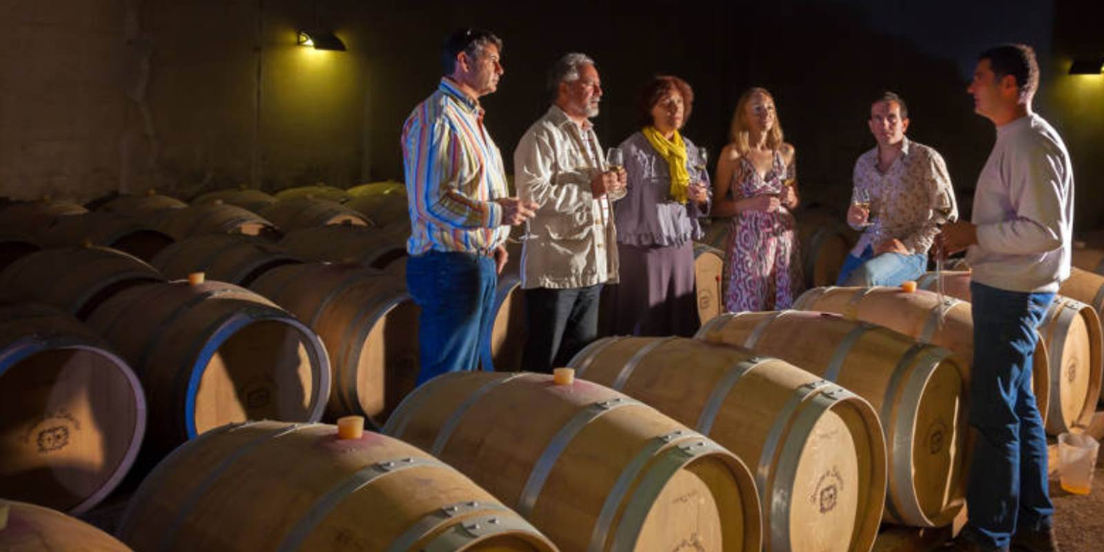 Dégustation vignobles France