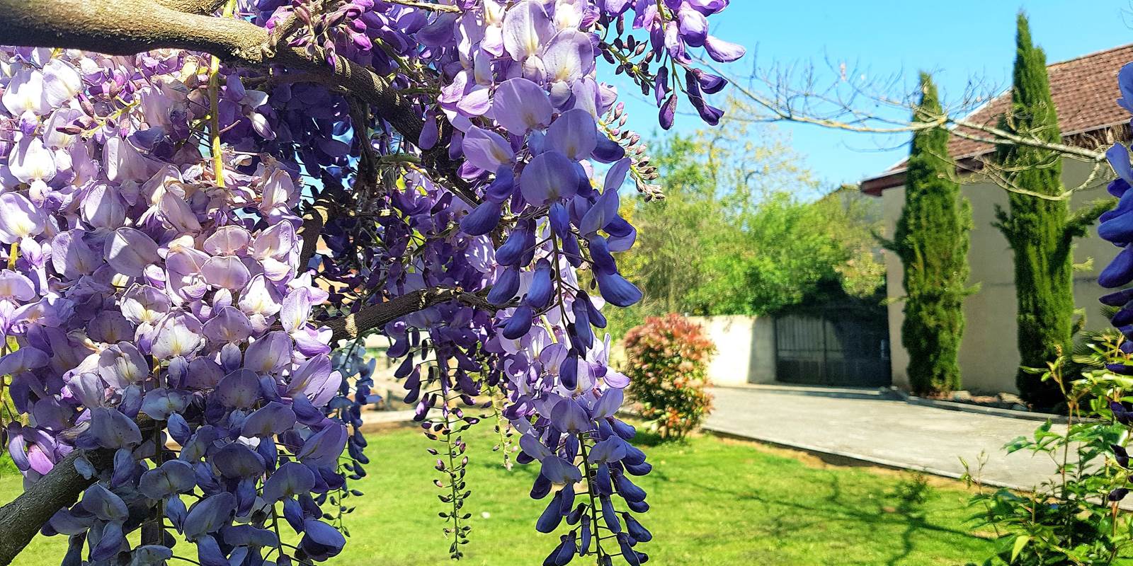 Le jardin de la résidence les Bastide Eugénie