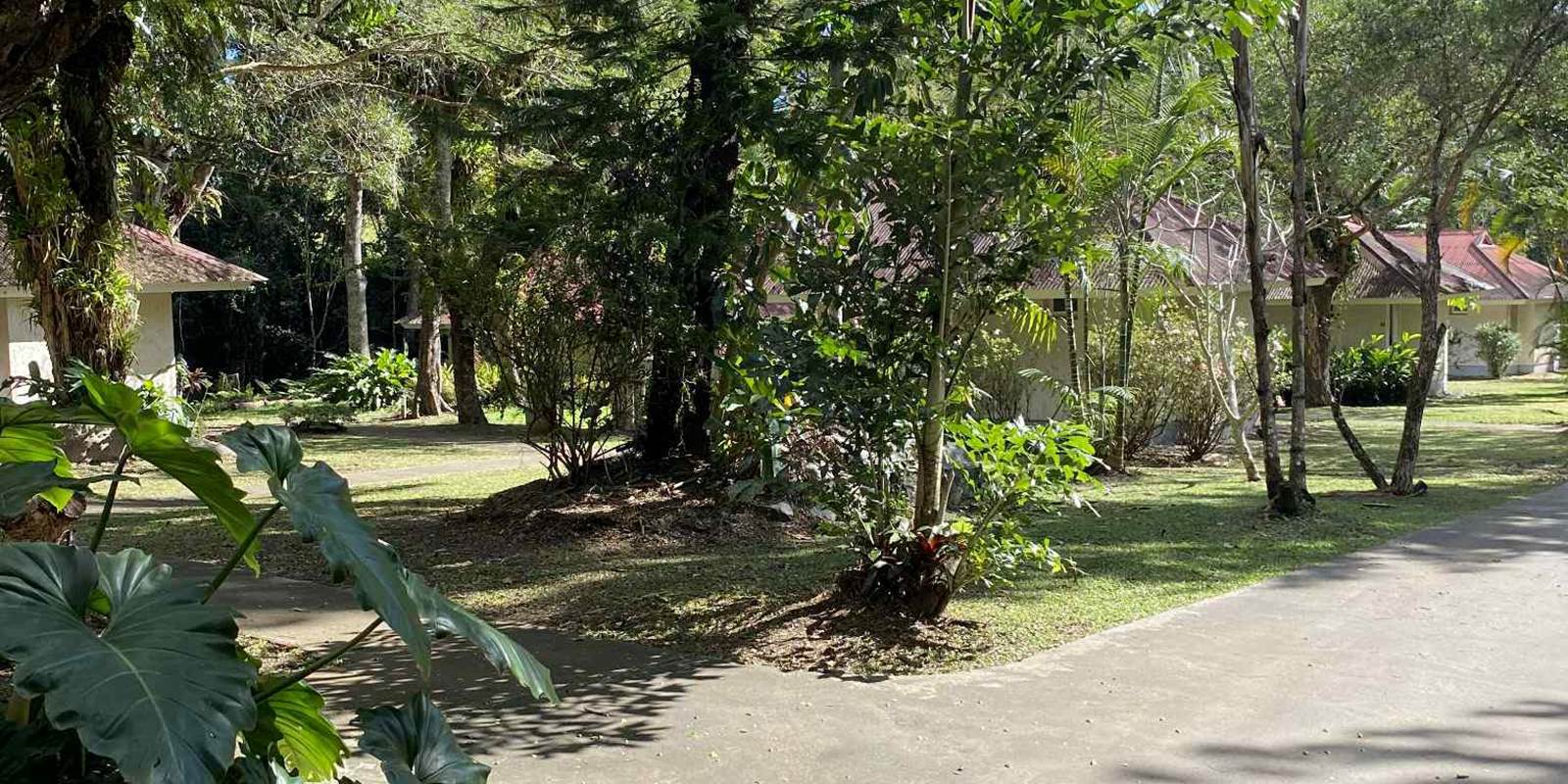 Bungalow Sarraméa Dépaysement