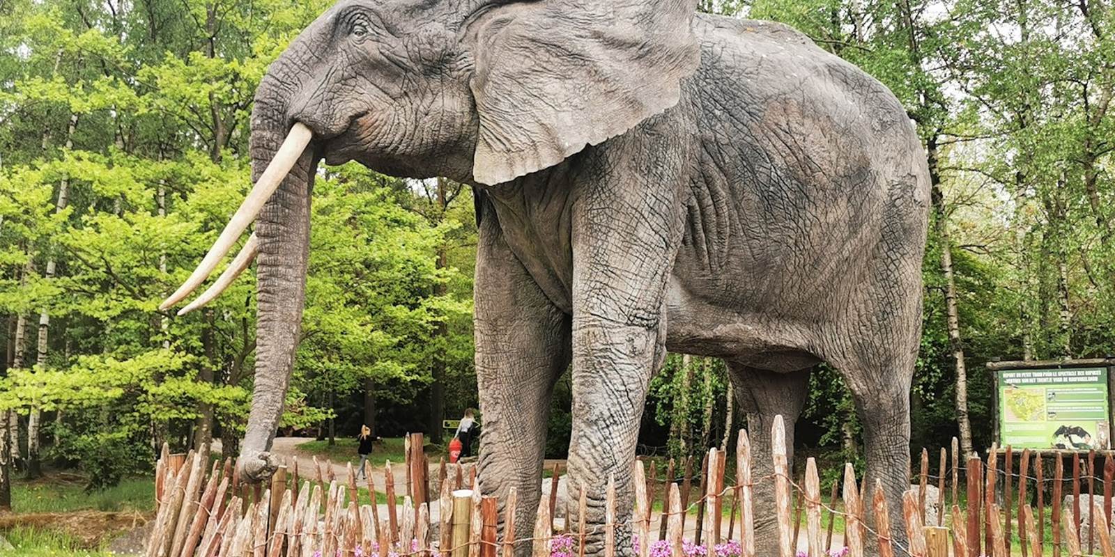 Une journée au Monde Sauvage d'Aywaille. Un vrai plaisir