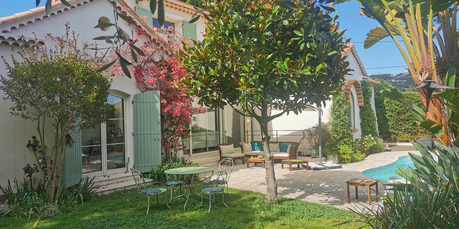 blue dream jardin en fleur