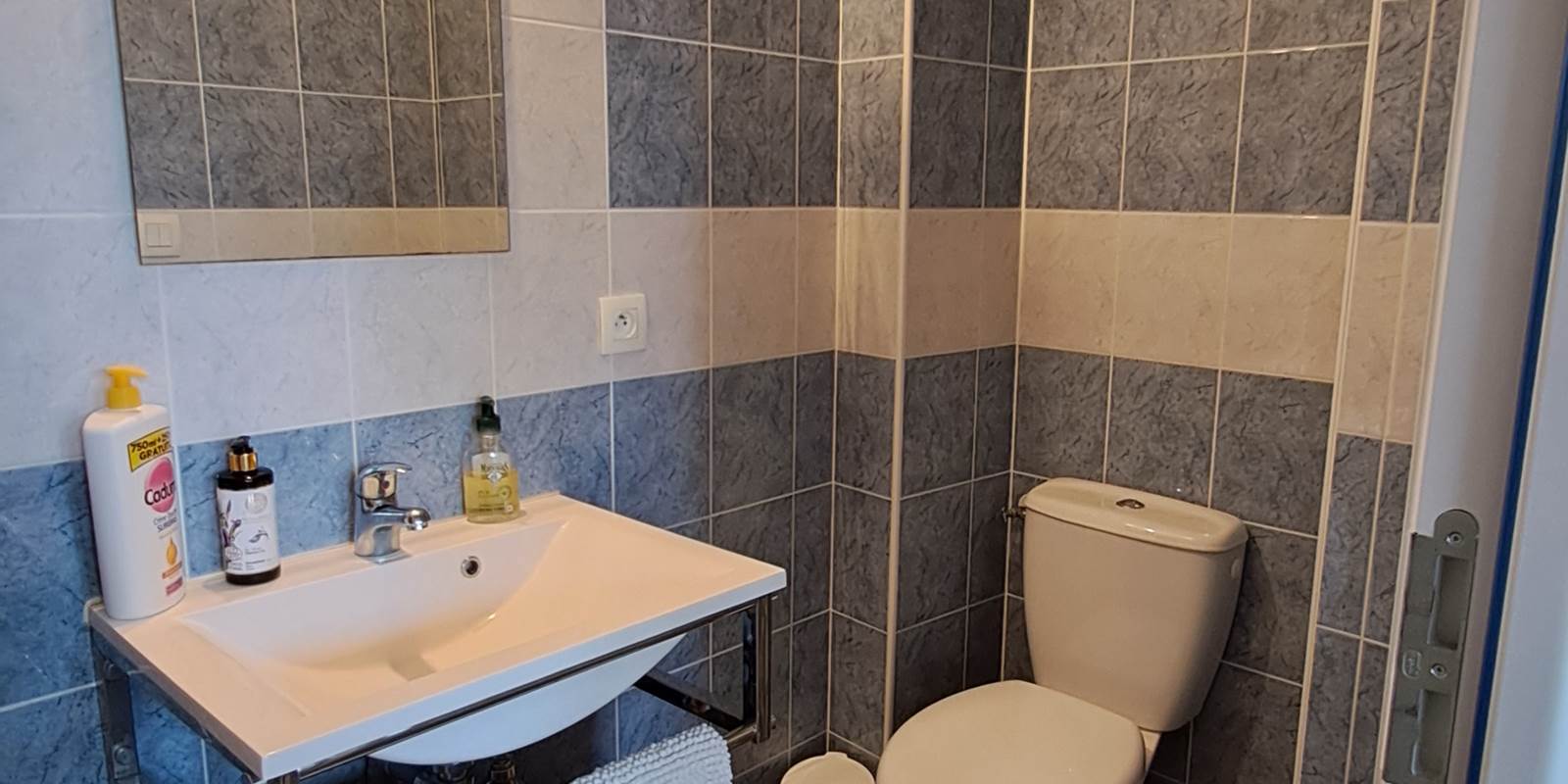 Salle de douche de la chambre bleue