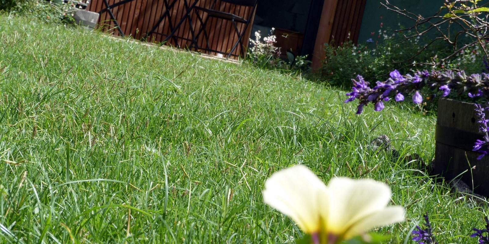 L'Orée du Maïdo - vue jardin gros plan