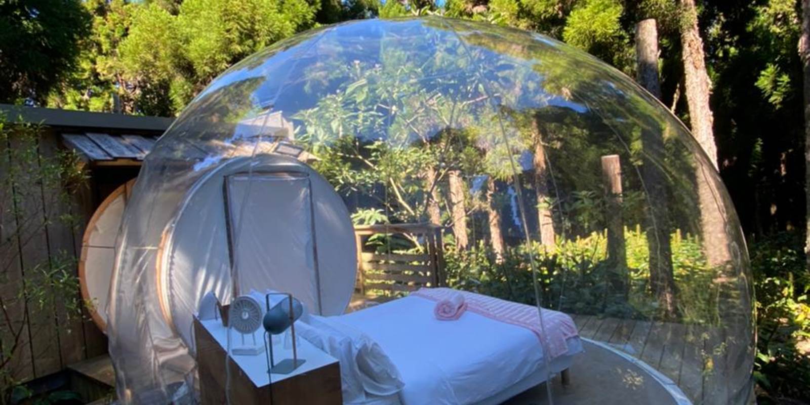 WhatsApp Image 2021-05-31 at 13